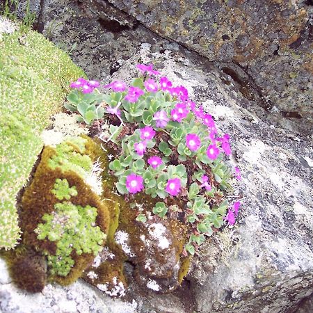 Les Clarines Perceneige - Chambre D'Hotes Vue Sur Montagne & Spa Saint-Jacques-en-Valgodemard Εξωτερικό φωτογραφία