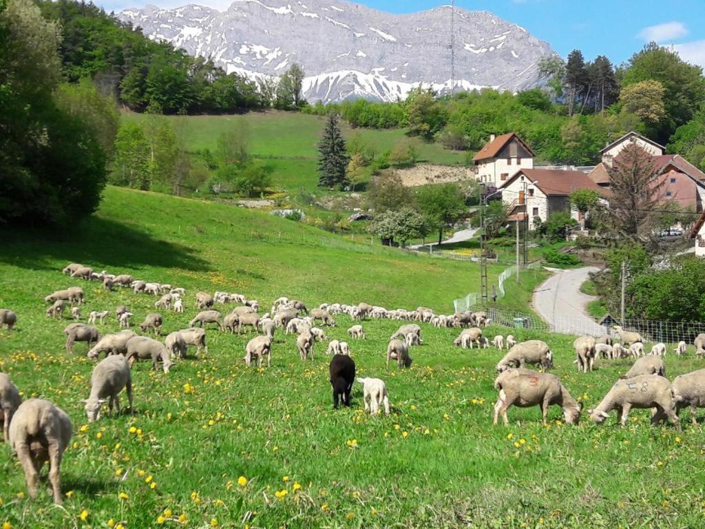 Les Clarines Perceneige - Chambre D'Hotes Vue Sur Montagne & Spa Saint-Jacques-en-Valgodemard Εξωτερικό φωτογραφία